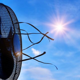 Caldo, Coldiretti Asti: &quot;Favorisce la diffusione degli insetti dannosi per le coltivazioni, come la cimice asiatica e il moscerino dagli occhi rossi&quot;