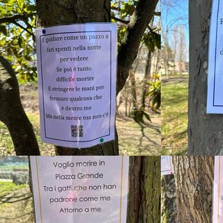 Le foto sono di Barbara Molina