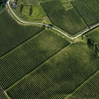 Convegno al World Tourism Event: sostenibilità per i paesaggi vitivinicoli del Piemonte