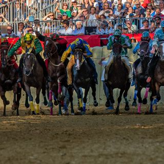 &quot;Sicut fieri solet Ast&quot;:oggi si corre il Palio. Tutte le informazioni utili
