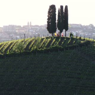 Vacanze nell’Astigiano in cammino tra le vigne