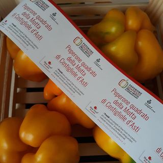 Il peperone quadrato della Motta, presidio Slow Food
