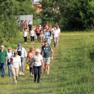 Un immagine della scorsa edizione del picnic