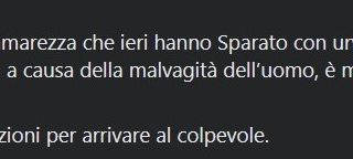 Indignazione per la morte di una gattina che sarebbe stata colpita con un flobert