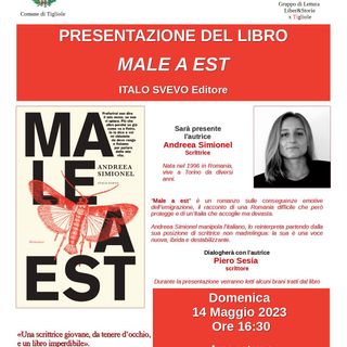 Il manifesto di presentazione del romanzo