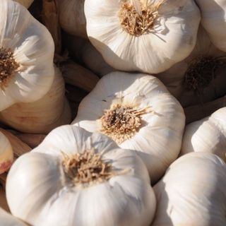 Vacanze Astigiane per l’evento più profumato d’autunno
