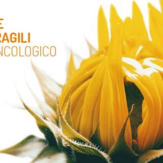 Locandina della terza Giornata del Progetto Protezione Famiglie Fragili