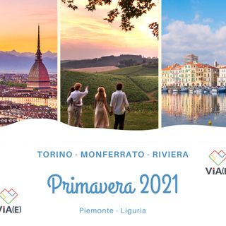 Un'immagine promozionale del progetto