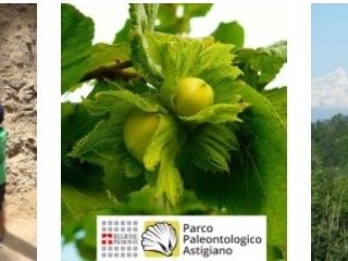 Proposte di luglio del Parco Paleontologico Astigiano