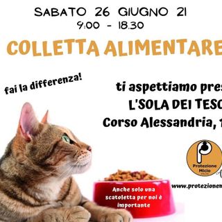 Locandina della raccolta alimentare