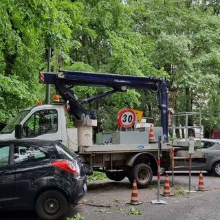 Asti: pioggia e vento fanno cadere ramo di albero in via Rosselli. Colpite due auto [FOTO]
