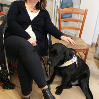 Un cane guida per donare la vista a un non vedente