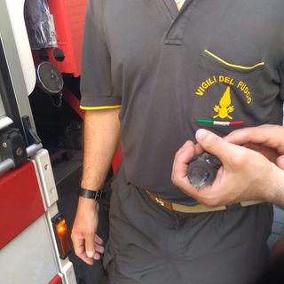 Il volatile salvato dai Vigili del Fuoco e affidato alla Lipu