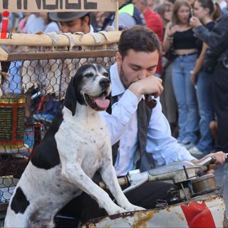 Festival delle Sagre dalla tribuna di piazza Alfieri!