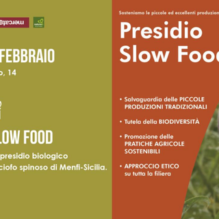 Sabato al Naturasì di Asti spazio al carciofo spinoso di Menfi e ai presidi Slow Food