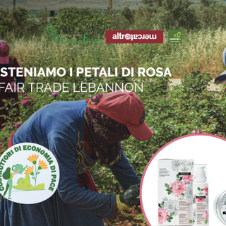 Dal 3 al 14 maggio alla Bottega Rava e Fava focus sulle produttrici di rose di Damasco del Libano Dal 3 al 14 maggio alla Bottega Rava e Fava focus sulle produttrici di rose di Damasco del Libano