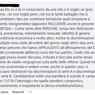 Lo screenshot del commento cui fa riferimento la lettera