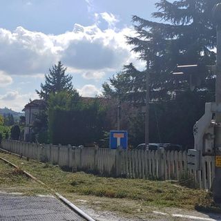 Alberi alti più di 4 metri in prossimità dei binari, RFi chiede di tagliarli in prossimità della tratta Alba-Castagnole