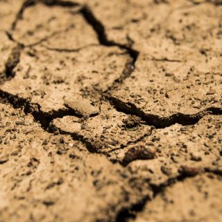 Confagricoltura: “Emergenza siccità, si dichiari lo stato di calamità naturale”