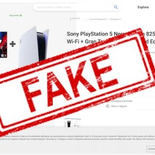 Il sito fake