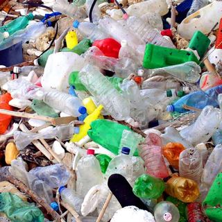 Plastic Tax e Sugar Tax, Coldiretti Asti: &quot;Effetto sulla spesa delle famiglie, bene la proroga&quot;