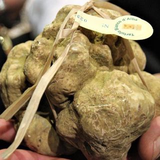 Tartufi da premiare