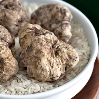Fiere del Tartufo tra Astigiano e Alessandrino, un autunno profumato con la Camera di Commercio