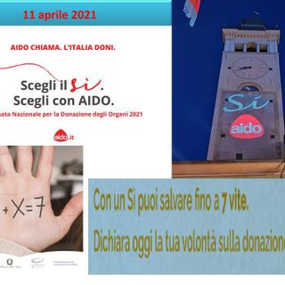 AIDO illumina la vita: boom di adesioni nella Giornata Nazionale della Donazione di Organi e Tessuti 