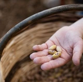 Viviamo in un posto bellissimo che ritrova ottimismo e volontà