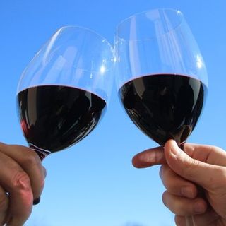 CNA: &quot;Il settore vitivinicolo non è un cartello di produttori di veleni&quot;
