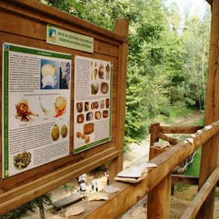 Il Distretto Paleontologico dell'Astigiano svela la bellezza di Valle Botto