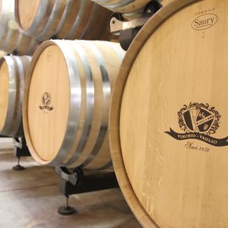 Il mare verde sulle colline della Barbera, con un progetto di promozione territoriale e di marketing del vino