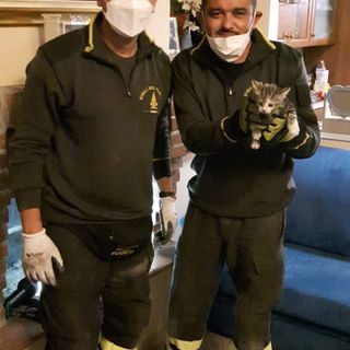 Villanova: gattino incastrato nel caminetto, salvato dai Vigili del Fuoco