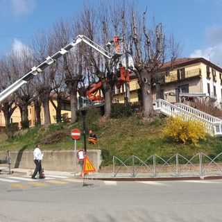 &quot;Pulizie di primavera&quot; a San Damiano, potature di alberi e riqualificazione aree verdi