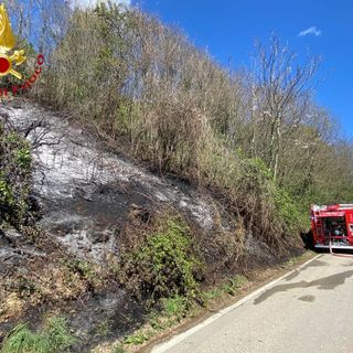 Sessant: a fuoco sterpaglie in un bosco. Coinvolti mille metri quadri di terreno