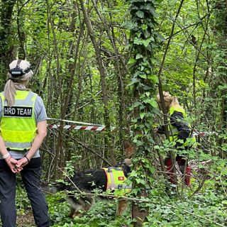 Caso Farinella: oggi trovati nuovi resti dello scheletro nei boschi dell'Astigiano