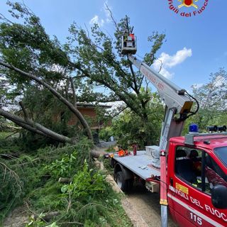 Vigili del fuoco impegnati nella rimozione di due grossi alberi caduti