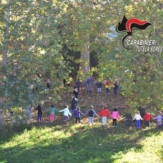 Un'immagine relativa una precedente edizione della Giornata degli Alberi