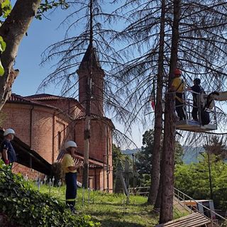 Protezione civile: a Serravalle intervento di abbattimento piante ad alto fusto