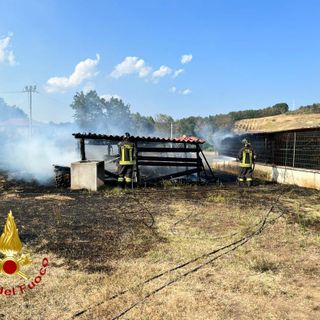 Ennesimo intervento dei vigili del fuoco per incendi di sterpaglie