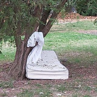 Al parco Griffa un materasso e un lenzuolo sotto a un albero, vicino ai giochi per i bambini