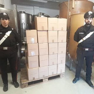 Il 'bottino' recuperato dai carabinieri e restituito all'imprenditore