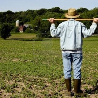 Coldiretti Asti - Psr: con Pacchetto Giovani nuove opportunità per imprenditoria giovanile
