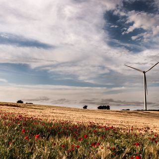 Ipotesi taglio IVA, Confagricoltura Asti: “Positiva l’apertura del Governo a valutare la nostra proposta”