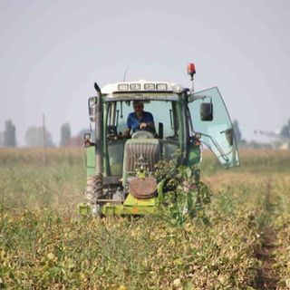 Emergenza idrica, dalla Regione gasolio agricolo a prezzo agevolato