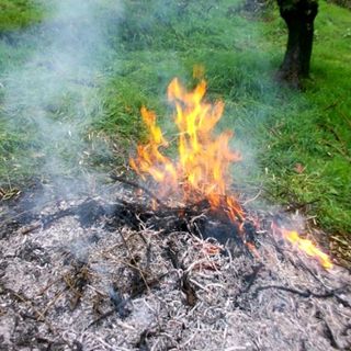 Domenica scatterà in tutto il Piemonte il divieto di bruciare materiale vegetale