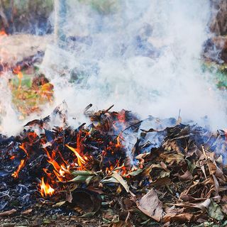 Abbruciamenti estivi: il sindaco Rasero e l'assessore Giacomini: "Adottate comportamenti corretti"