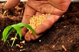 Agricoltura: dal Piemonte 21 milioni di euro sul bando 2021 del Psr per imprese agroindustriali