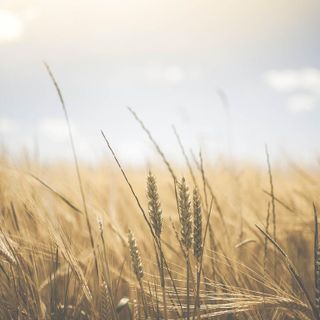 Cos'è la Pratica CCIAA e quanto tempo di vuole affinché sia evasa
