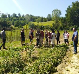 Buone pratiche per l'agricoltura sociale. Un progetto del PIAM di Asti